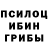 Галлюциногенные грибы Cubensis nick gurs